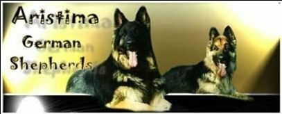 Aristima German Shepherd Dogs