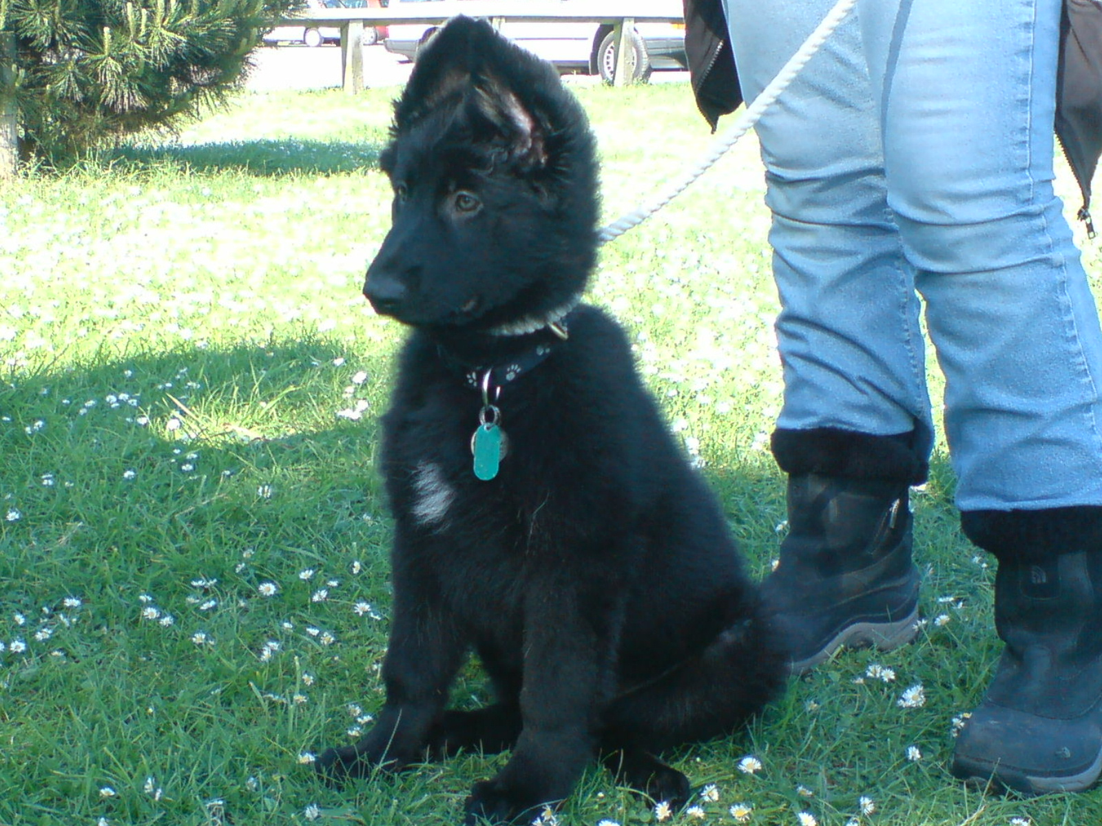 Kaia @ 3mos (all ears)