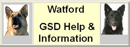 GSD Helpline Watford - We offer Free friendly telephone and on line advice on all aspects of the German Shepherd Dog and its welfare, including such things as health and behaviour related issues.