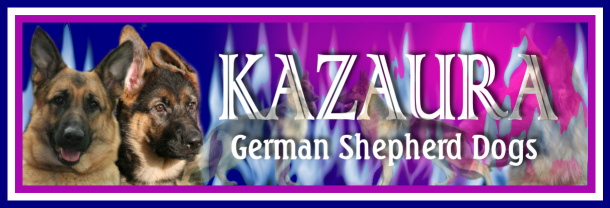 Kazuara German Shepherd Dogs