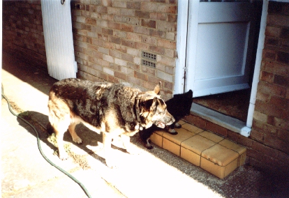 First day home with Frisbee 25-05-99