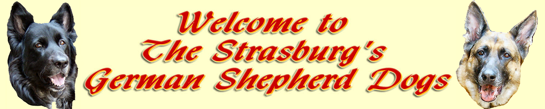 Strasburg Header