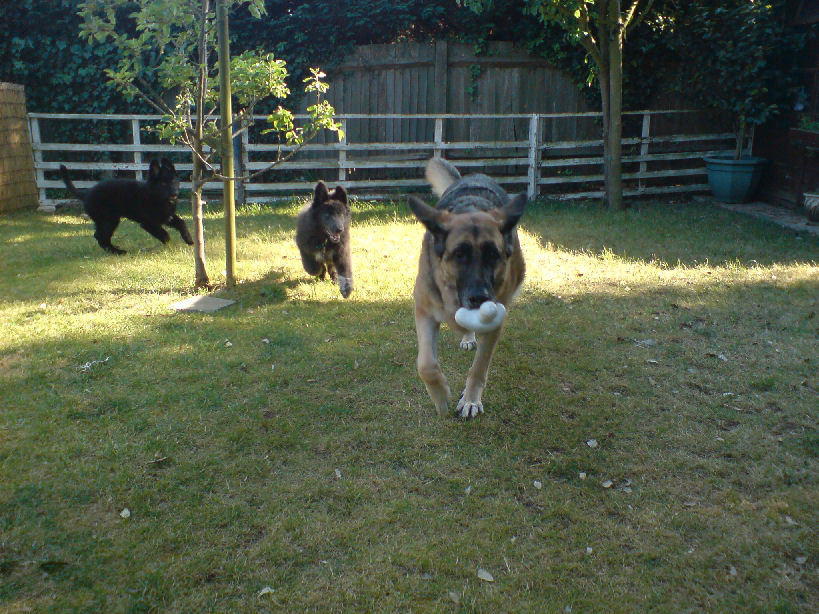 Trying to outrun Kona