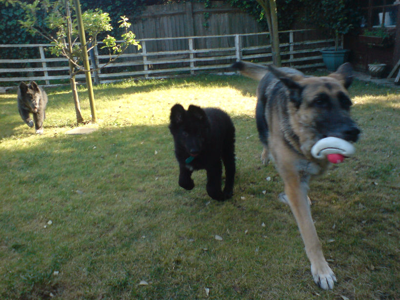 Keeping one step ahead of Kaia