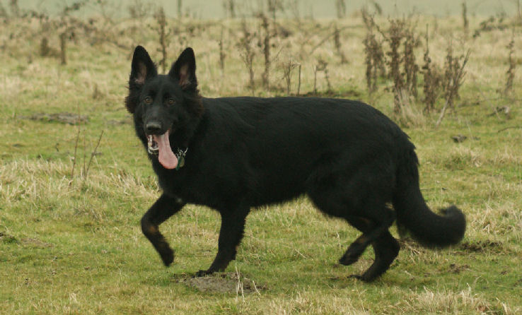 Can't stop taking pictures of her!