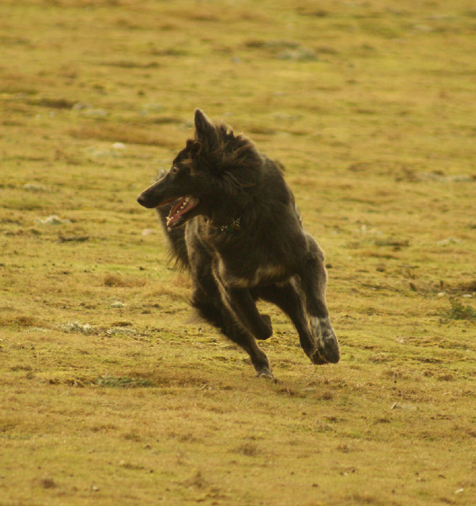 Up the Downs 18-01-09