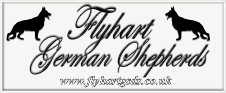 Flyhart German Shepherd Dogs