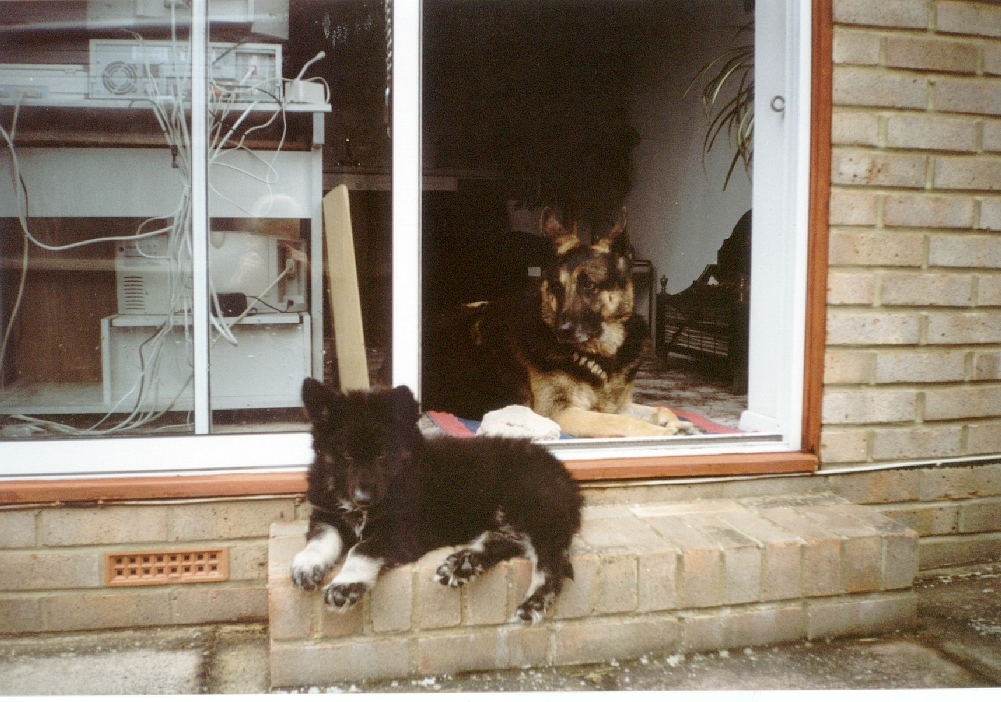 Big Friz little Ritz