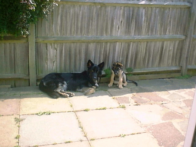 Ritz & Sassy July 2000